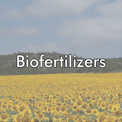 Industry - Biofertilizers